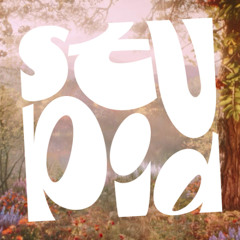 Stupid Session 10 | Stupid Crew DJ Set