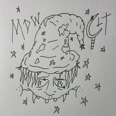 hidden_in_plain_sight