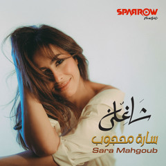 Shaghiln - شاغلني