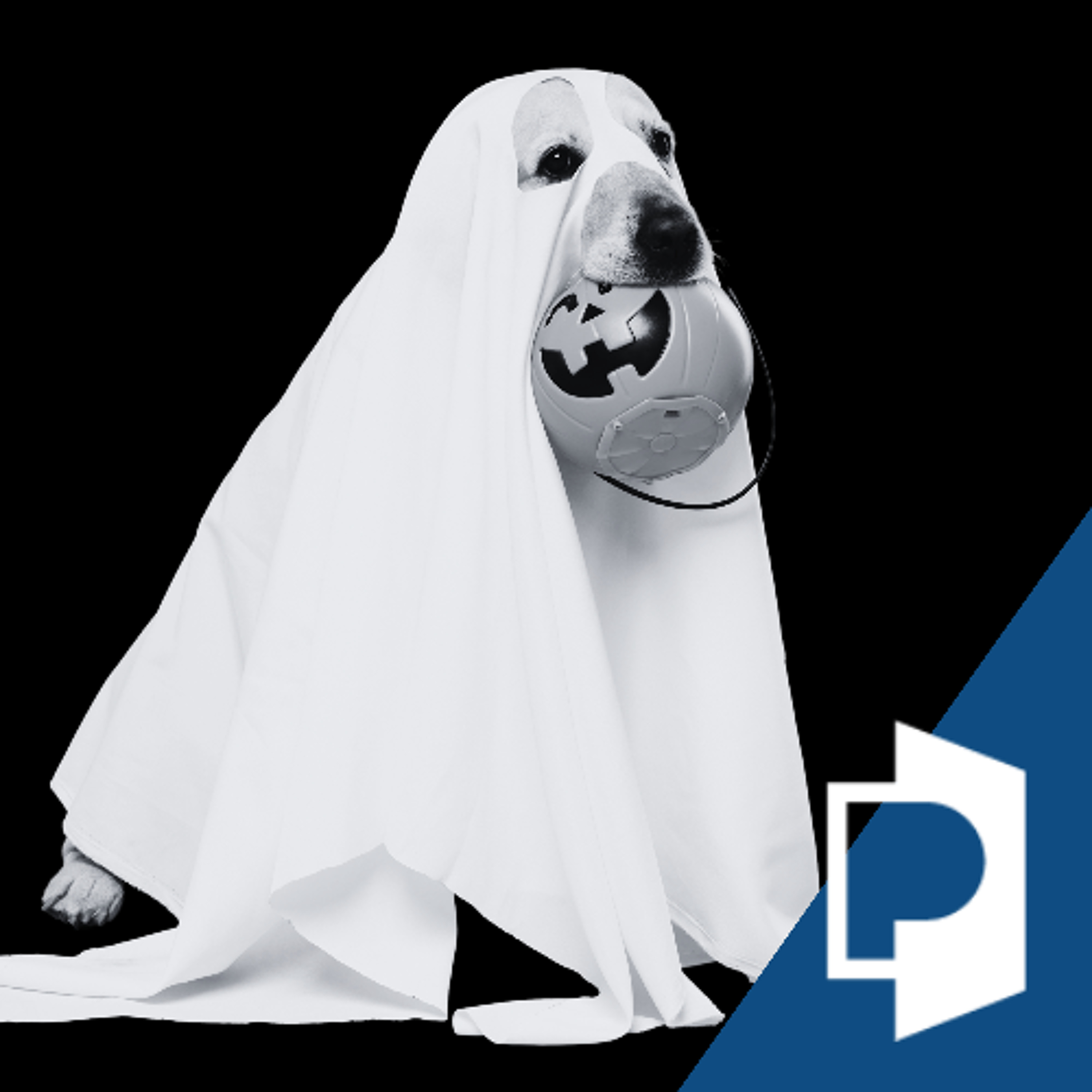 Fostering Conversations