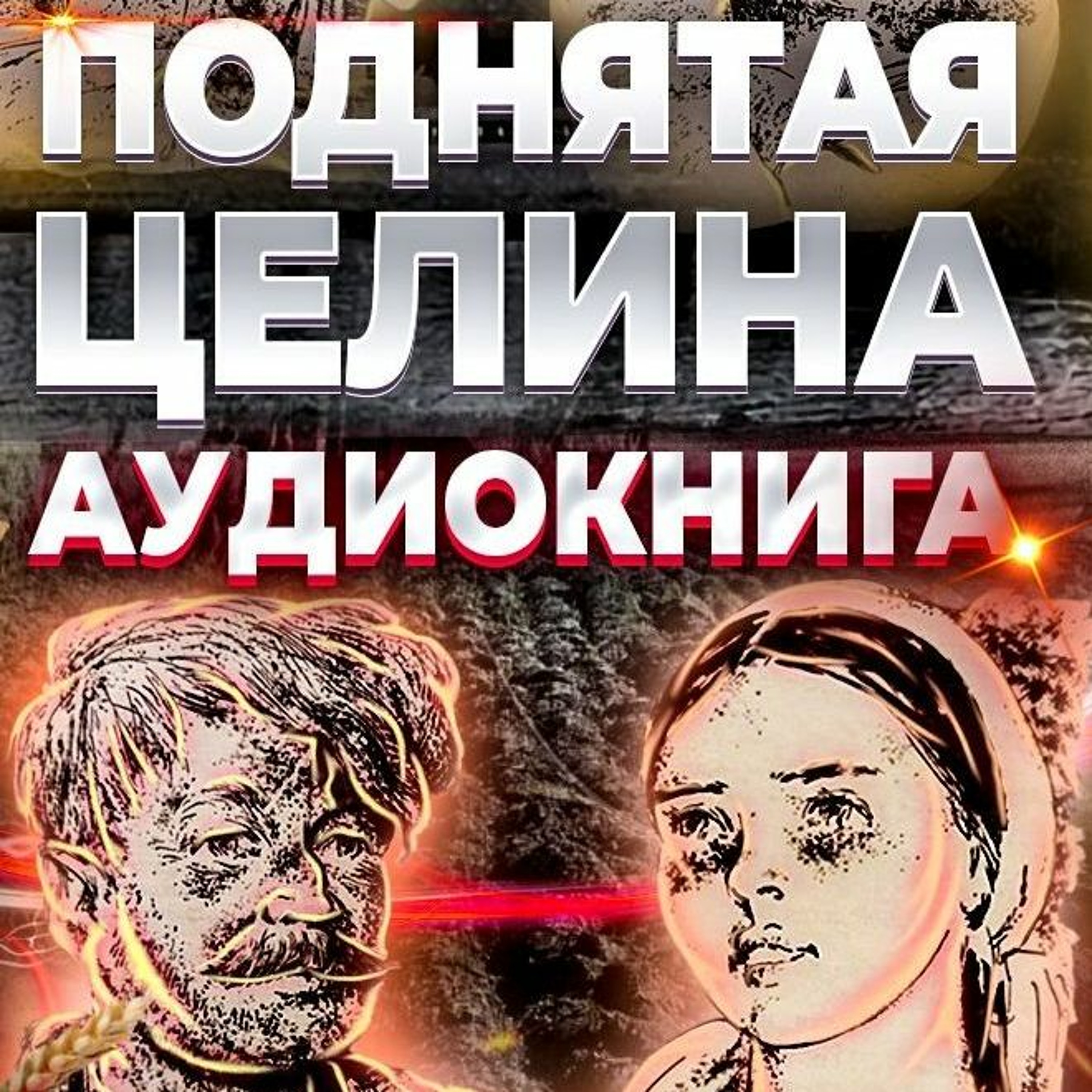 Поднятая Целина. Аудиокнига. Книга 1. Глава 8, Урок 8. episode artwork
