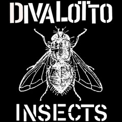 INSECTS - Single