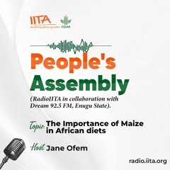 The Importance of Maize in African Diets