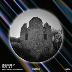 Dom3n, I-K-O - Wiederdries (Grafenauer Remix)