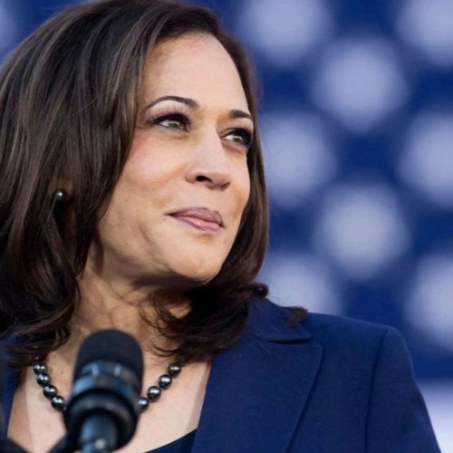 46. The Trouble with Kamala - Interview w/Malaika Jabali - Left POCket Project Podcast