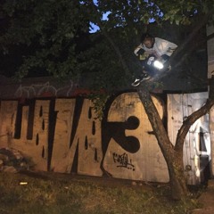SNIPPETRAW