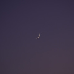 Dorothy - 쉿 [소수빈의 쉿을 커버한 김수영의 쉿 커버 버전]