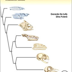 [View] KINDLE 🧡 The Dissection of Vertebrates by  Gerardo De Iuliis &  Dino Pulera K