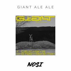 Calvin Harris X Eran Hersh - Giant Ale Ale (NOSI Edit) FREE DL (FILTERED due to copyright)