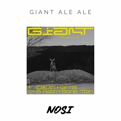 Calvin Harris X Eran Hersh - Giant Ale Ale (NOSI Edit) FREE DL (FILTERED due to copyright)