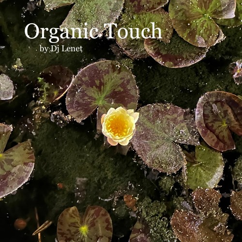 Organic Touch Vol.2