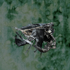 Sp99 @ Lavoir Public (Lyon) w/ Sp99 Crew (22/05/25)