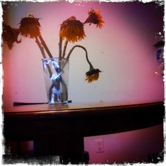 Bullets For Breakfast: Wilted Flowers (Caveman CG Remix)