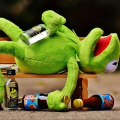 What's right: Prague bans organised pub crawls