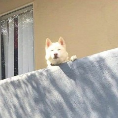 Элджей - Wunder King (i44th edit)