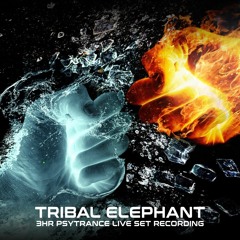 👽 Tribal Elephant 3hr SET || Psytrance || Trance || Live 👽