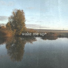 Avicii - Wake Me Up (Orange Purple remix)