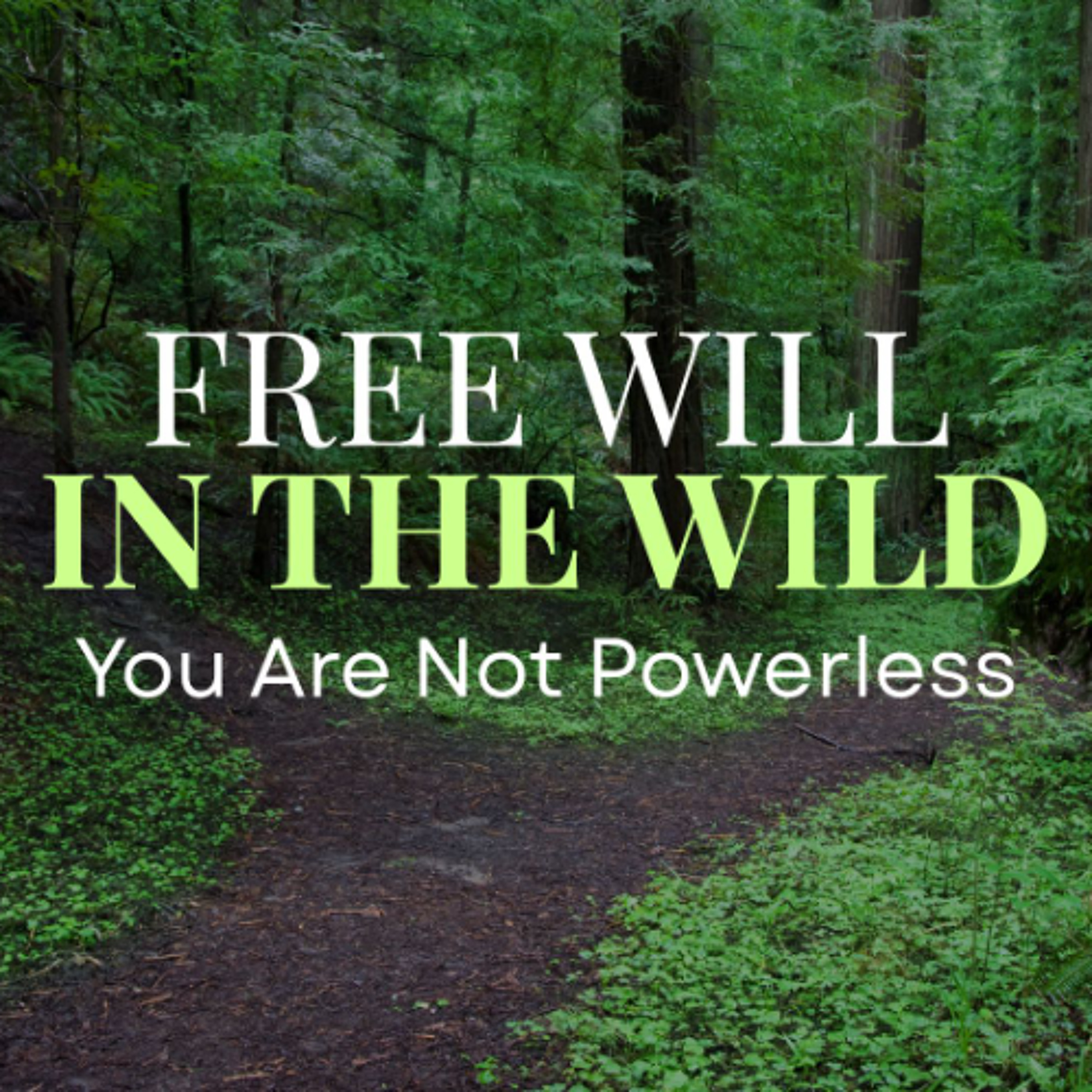 Free Will In the Wild: You Are Not Powerless episode artwork