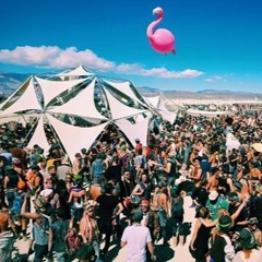 Disco Knights live sets from Burning Man