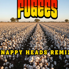 Me Myself and I (Nappy Heads Remix)