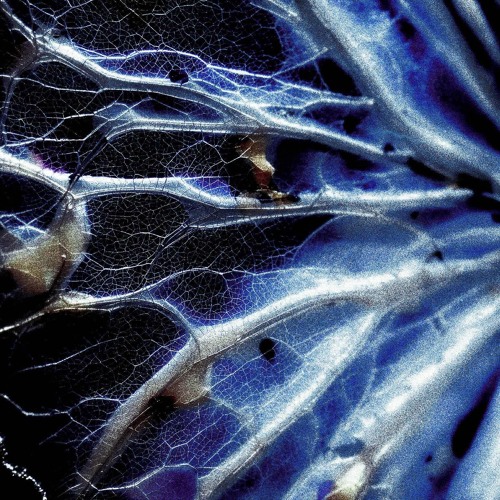 Faded Colours [Prod. frdm.wav]