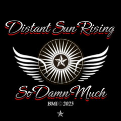 So_Damn_Much_BMI2022 1