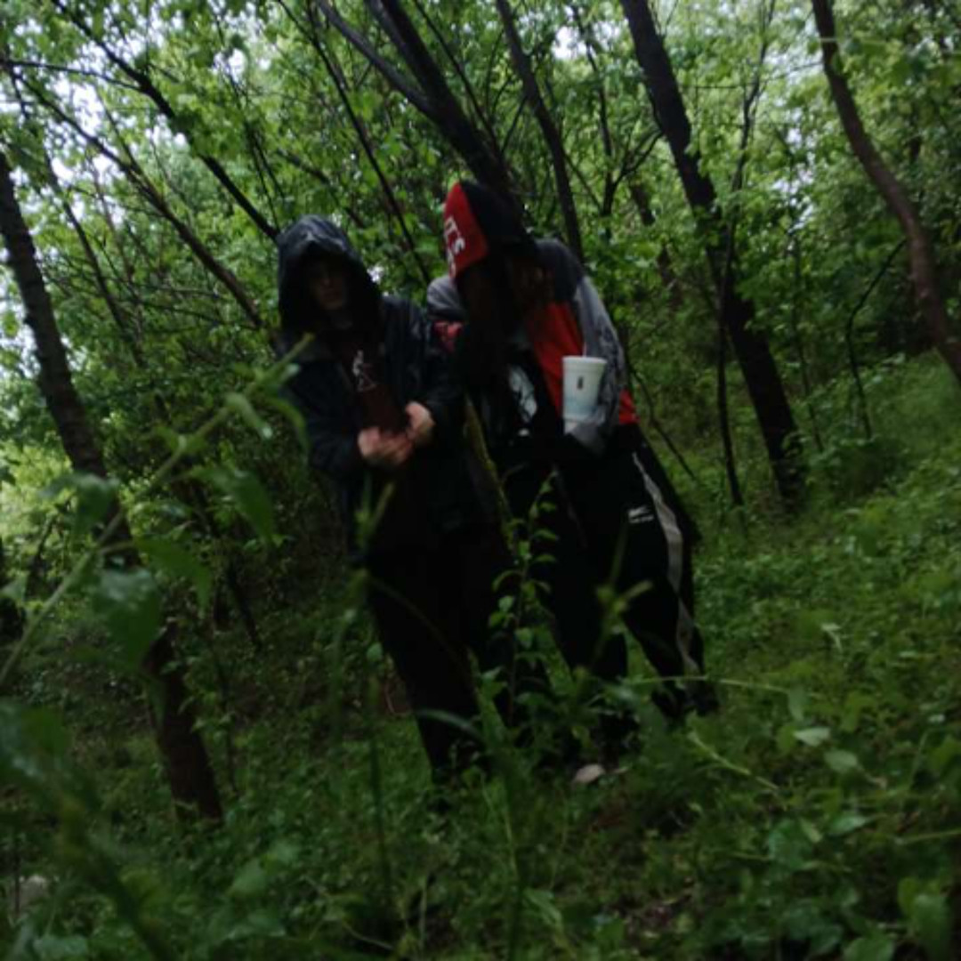 The Woods