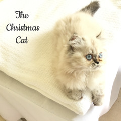 Christmas Cat