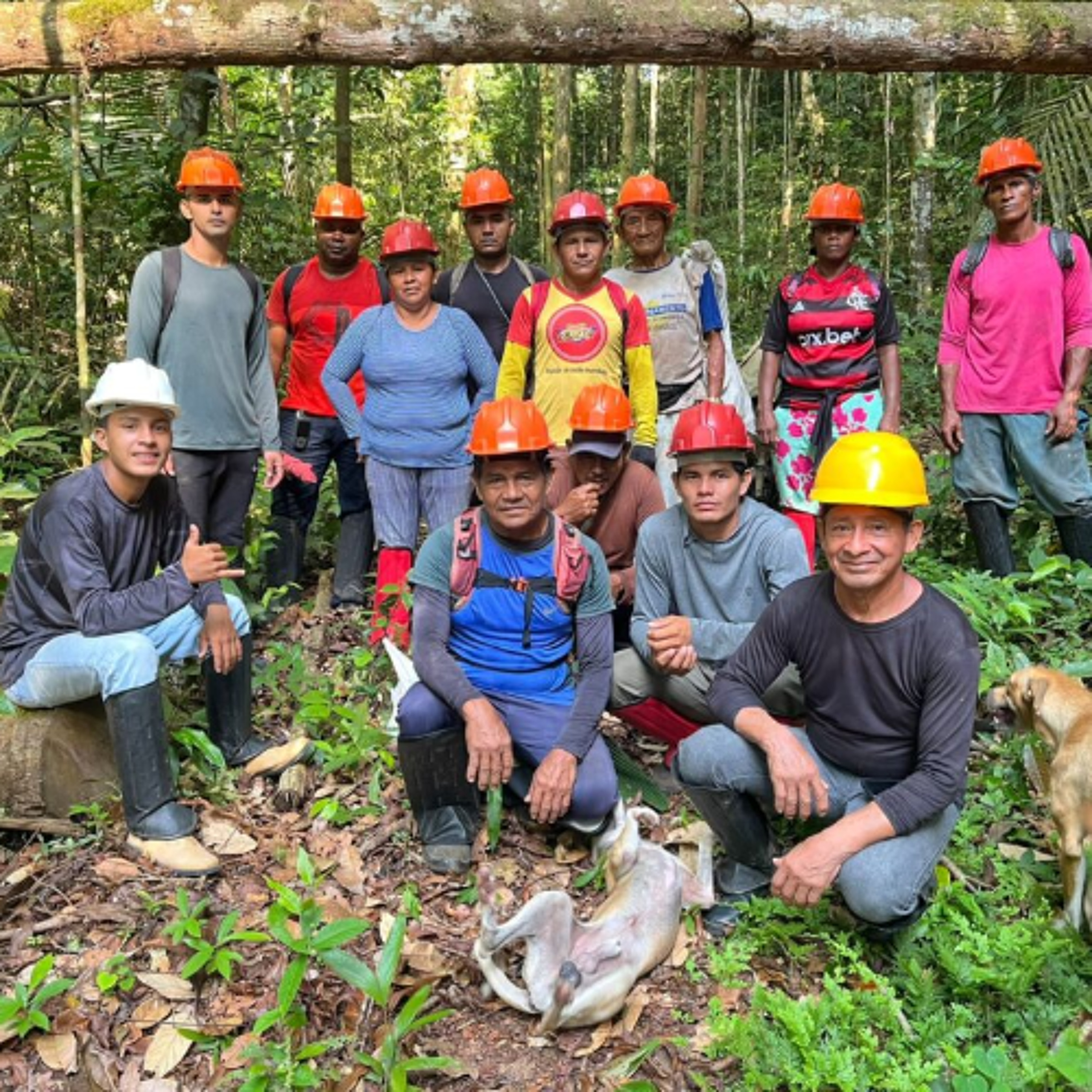 Comunidades da Floresta Nacional do Tapajós em Aveiro iniciam mapeamento participativo de copaibeiras com apoio do Projeto Saúde e Alegria
