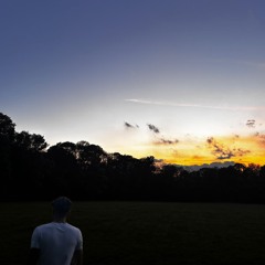 figli delle stelle rmx