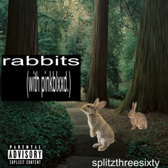 rabbit ft. pinkblxxd (brokeboitaylor + sxmmyy!)