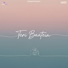 Teri Baatein