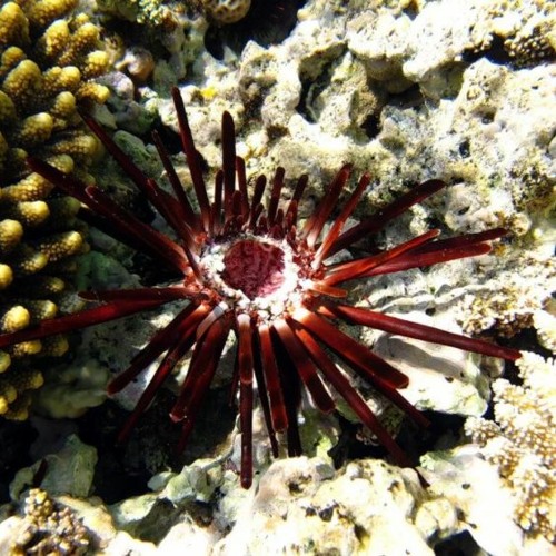 listen-to-10-background-music-for-youtube