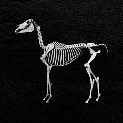 FREE DL: KATAR, KOFA  - Arabian Horse (Edit) [OB050]