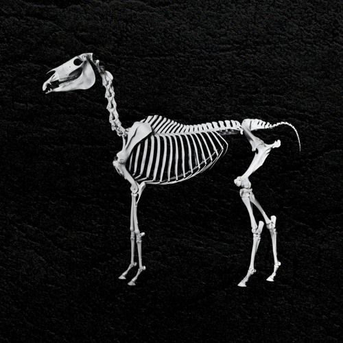 FREE DL: KATAR, KOFA  - Arabian Horse (Edit) [OB050]