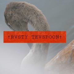 †RVSTY TEVSPOON† • ugly duckling🦆(rusty lake)