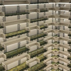 𝙖𝙣𝙞𝙢𝙖𝙡