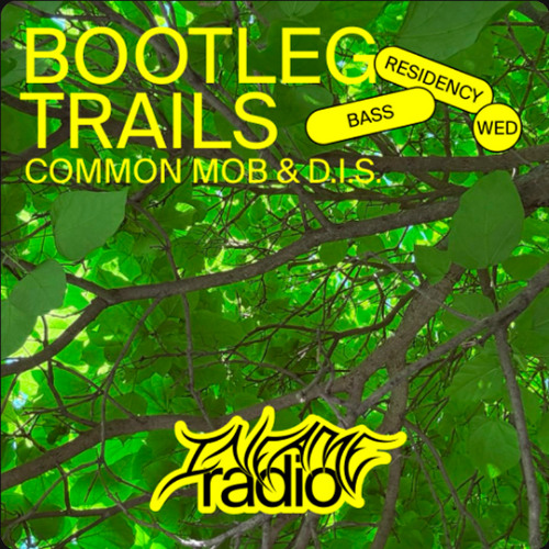 D.I.S for Bootleg Trails 009