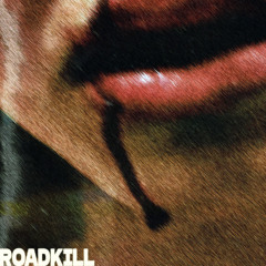 ROADKILL