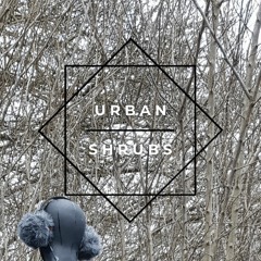 Beneath Urban Shrubs: Snowrain, Bird Whistles and Autos - Binaural