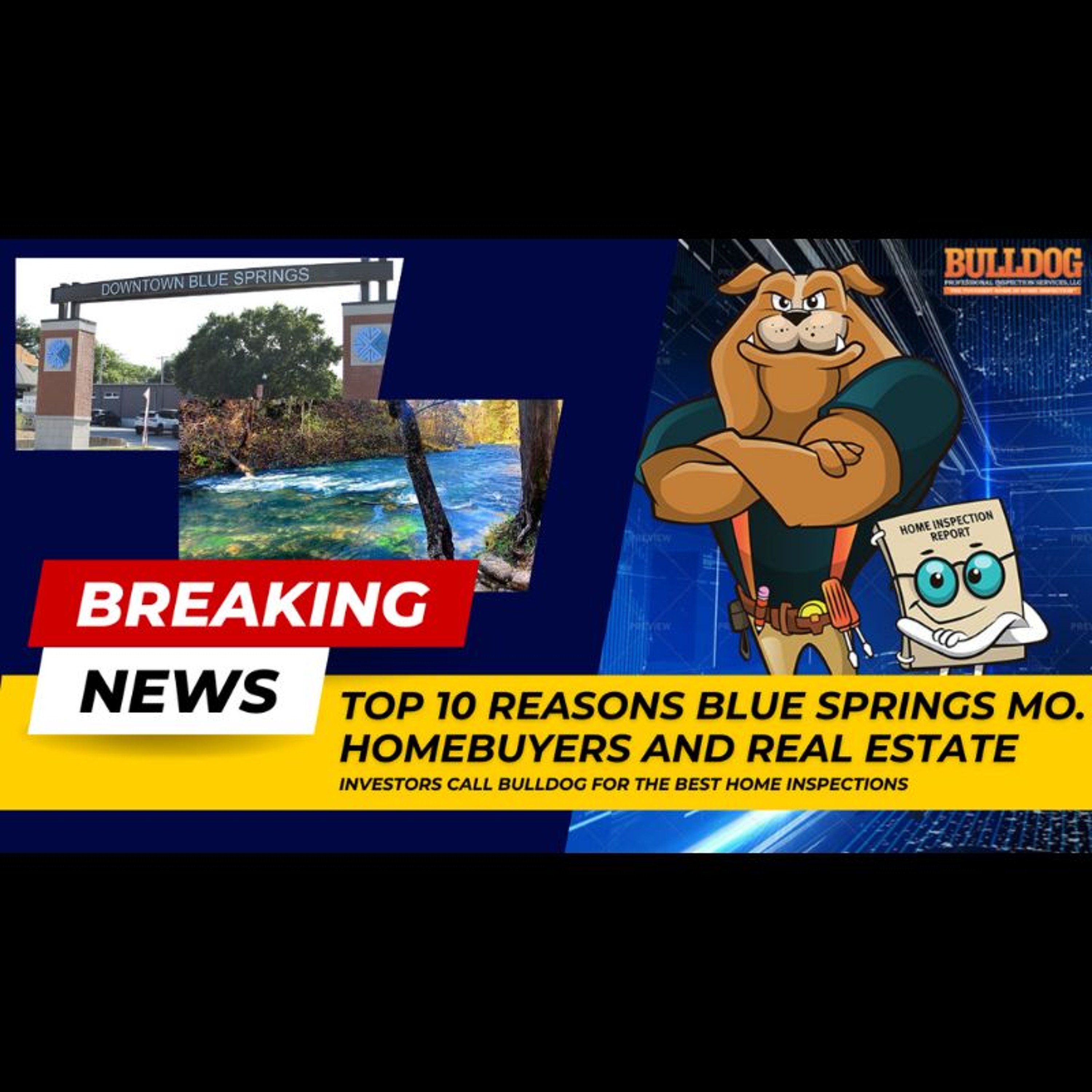 Home Inspector Blue Springs MO. - Bulldog Professional Inspection Services (816) 564-3081 episode artwork