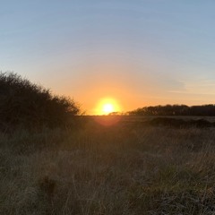 You Are A Beacon Of Light; Jayne