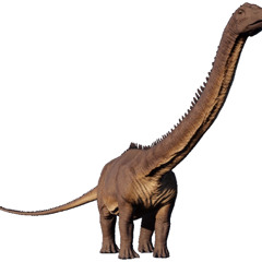 Diplodocus