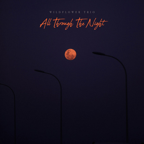All Through The Night