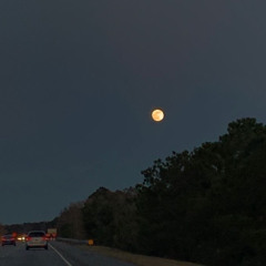 Night road