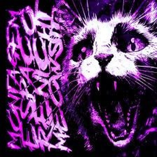 Montagem Espaco Renicht Meowsith - Ultra slowed