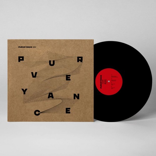 Purve002 A1 Linear System - Unknown Coordinates
