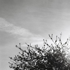 (Light)