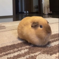 Я ЕБАЛ ТВОЮ МАТЬ