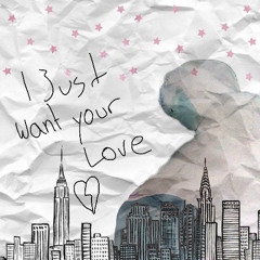 I Just Want Your Love